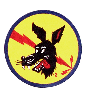 AAF Squadron Patch, Hand Painted, 364th Bombardment