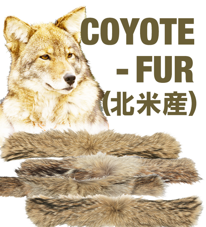 Coyote Fur(衼)50-60s ե饤ȥ㥱åȡաɥȥߥ ڥѡ5 x 50cm/ƻRegular