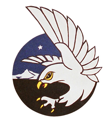 AAF Squadron Patch, Hand Painted, 449th Fighter
