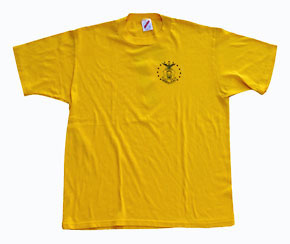 Usedߥ꥿꡼ץȡT-Shirt/6415-S1-44