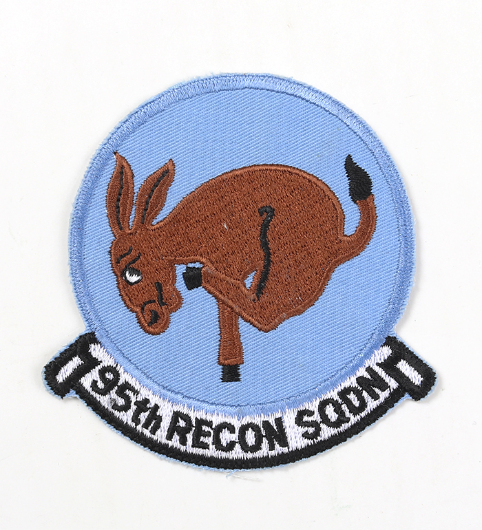 USAF ɥѥå/95TH RECON SQDN