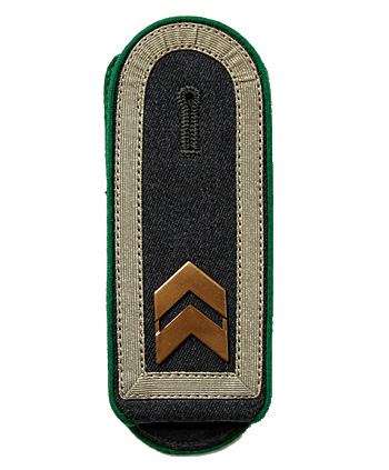 ドイツ BW (連邦軍) 1956式 降下猟兵、上級軍曹肩章/実物・未使用